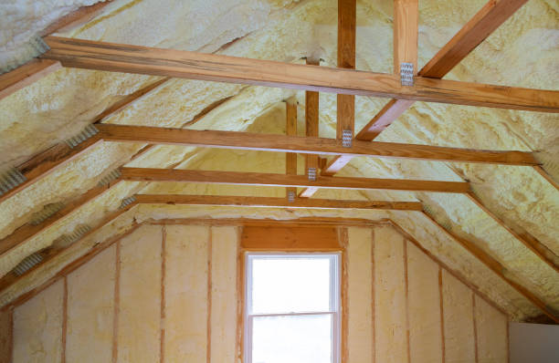 Best Types of Insulation in Lavalette, WV