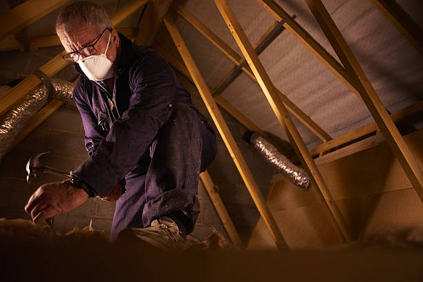 Best Insulation Installation Services in Lavalette, WV